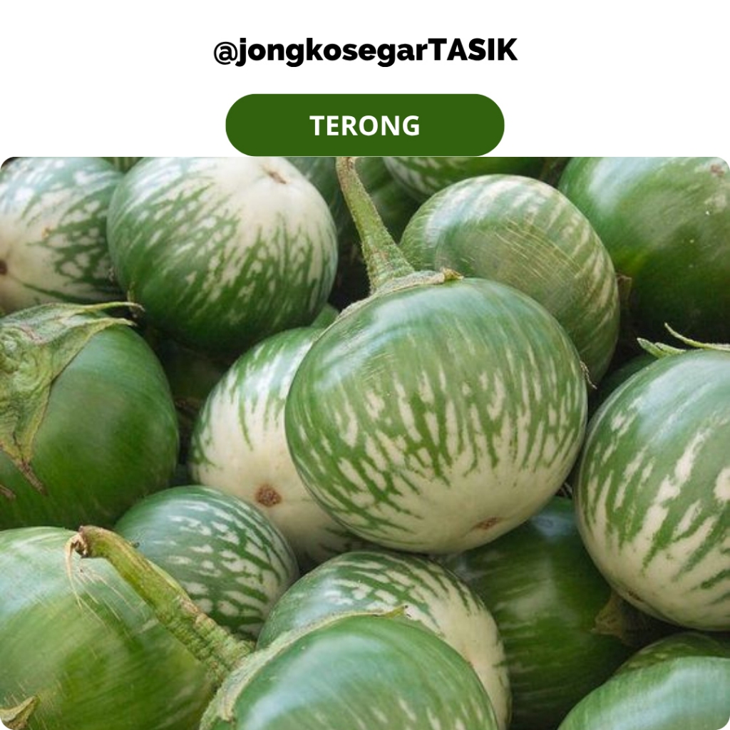 

Terong Lalap/Terong Cowel/ Terong Bulat Fresh Petik Langsung dari Kebun / Produk Original