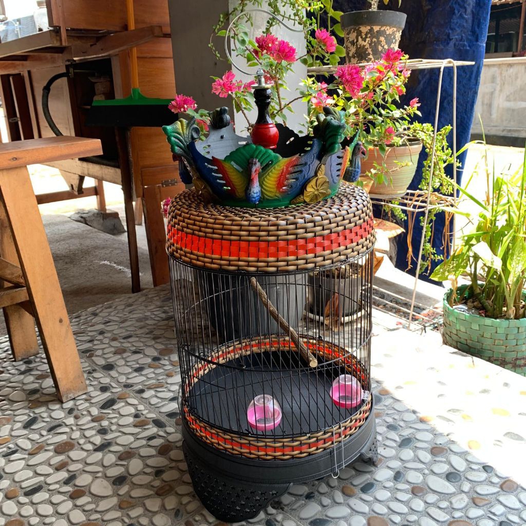 SANGKAR BURUNG PERKUTUT OVAL RAM BESI FULLSET