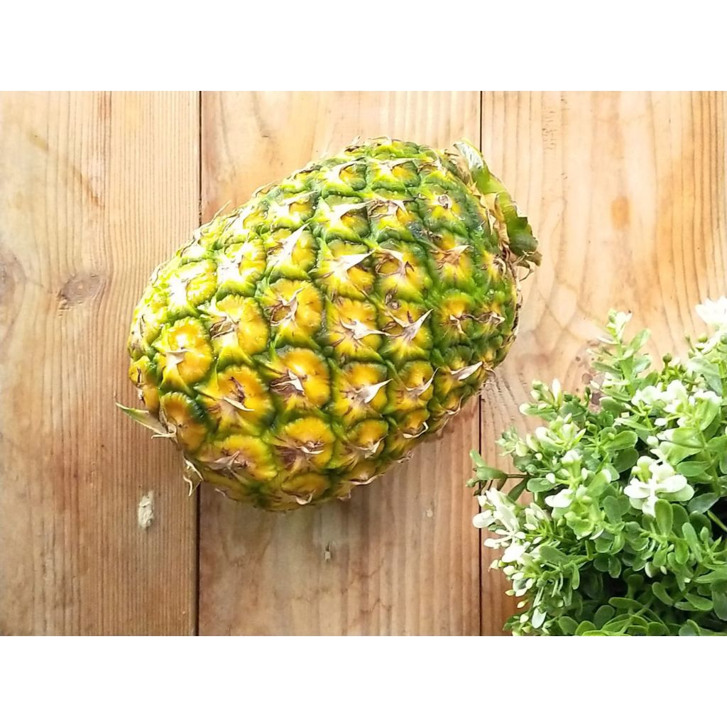 

nanas madu besar sunpride