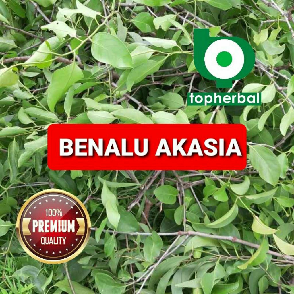 

Daun benalu akasia kering hijau grade A+ 1/2kg/500gram