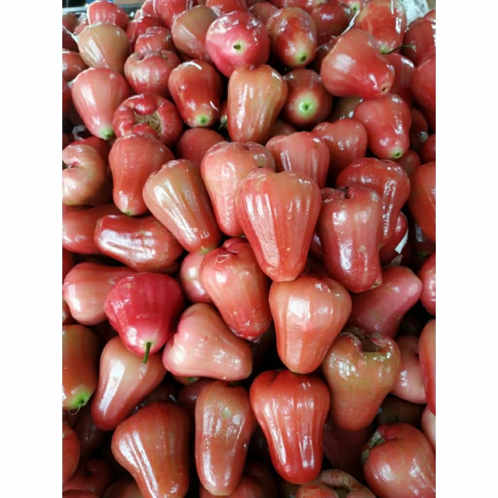 

jambu citra