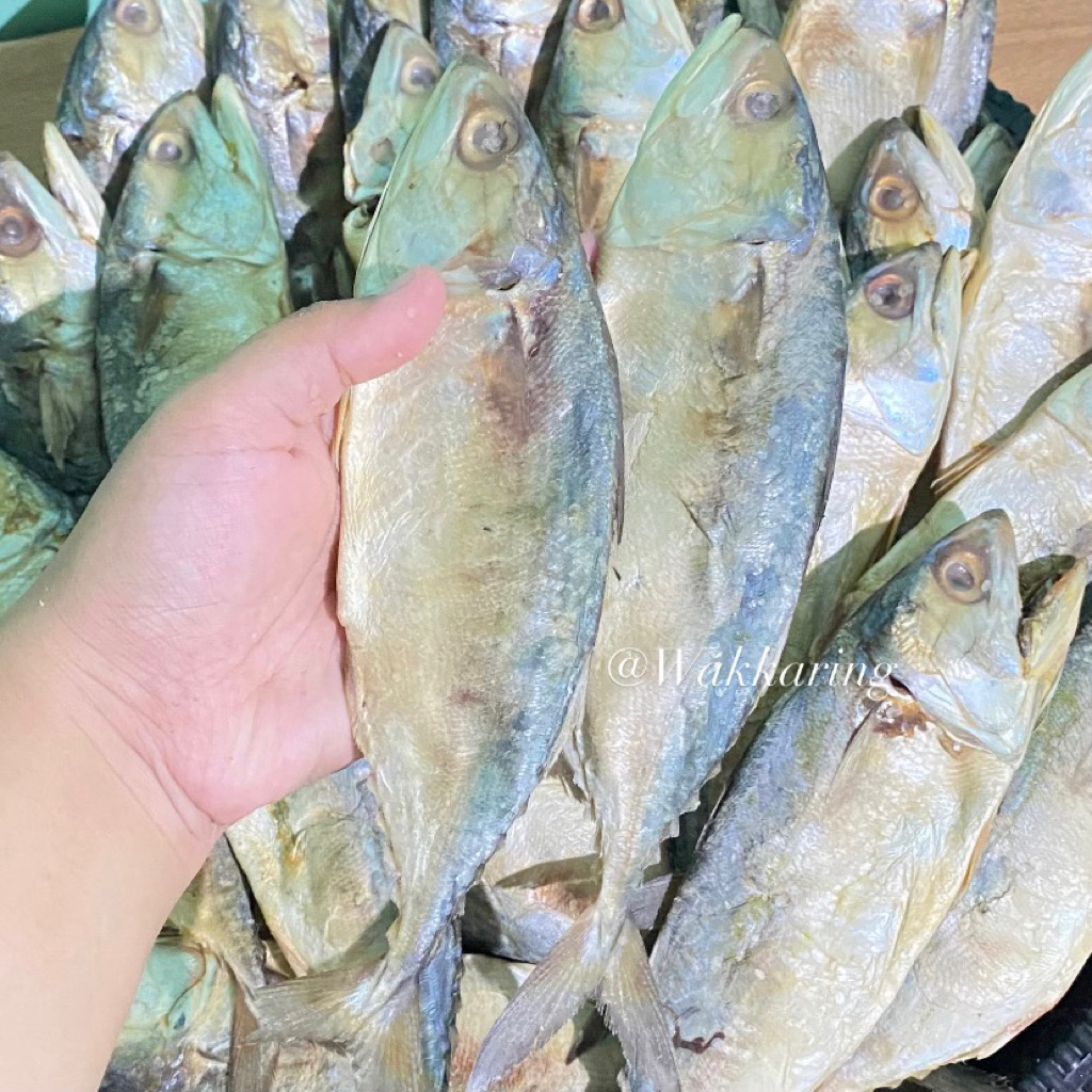 

IKAN ASIN PEDA 1 KG