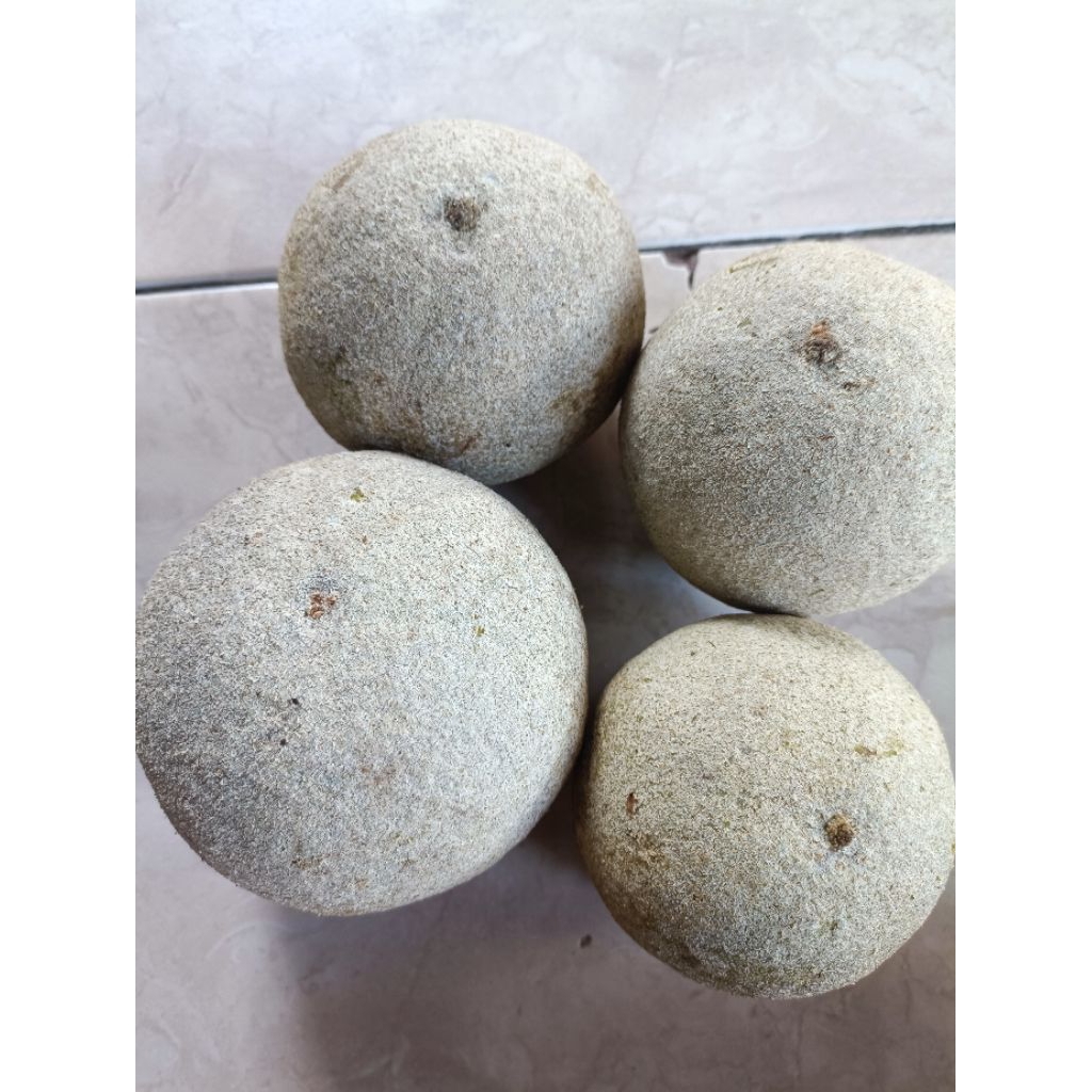 

Buah kawista segar 1kg termurah