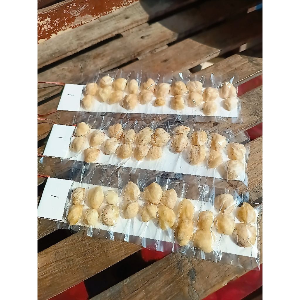 

PROMO KEMIRI RENTENG DAN KILONAN MURAH MERIAH