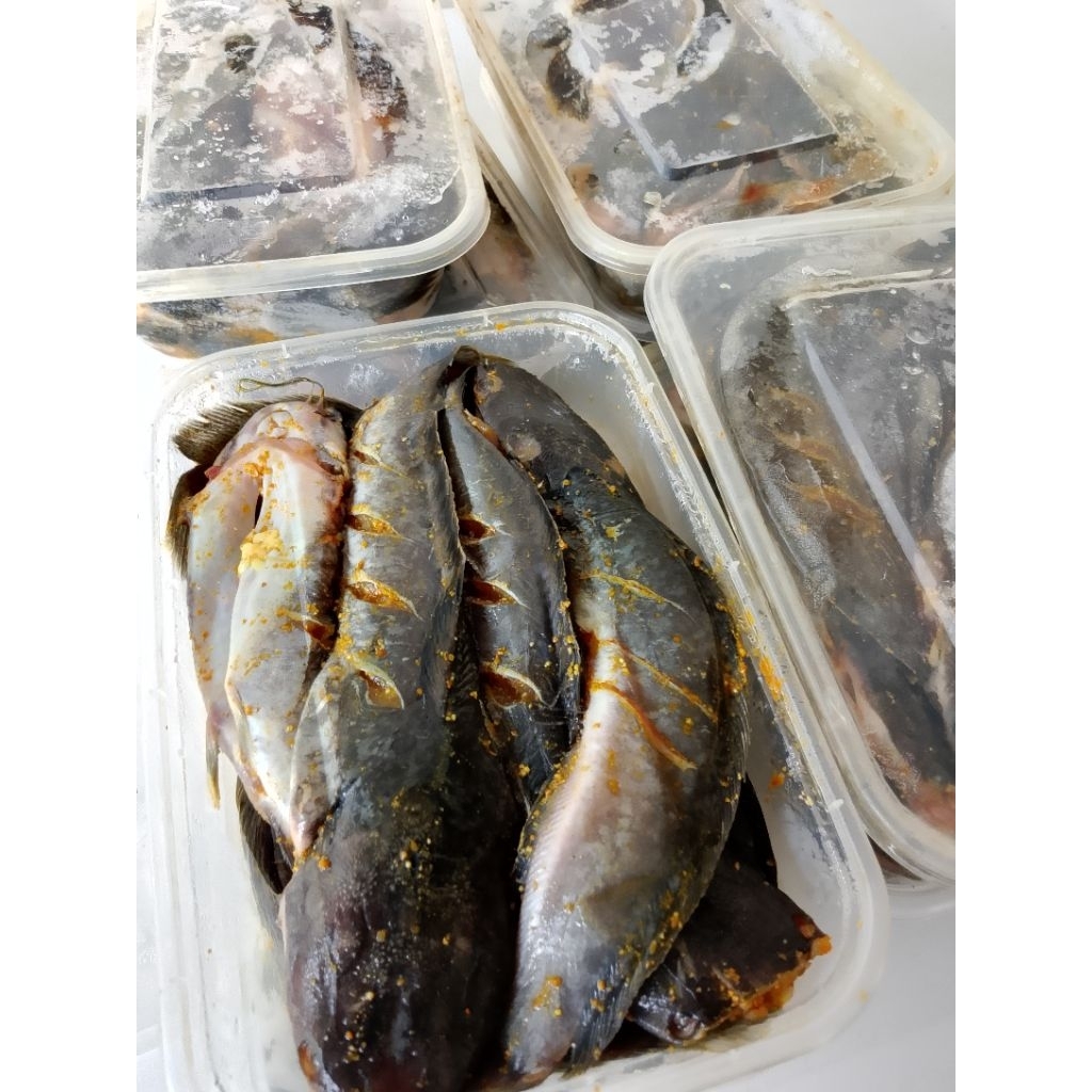 

IKAN LELE SIAP GORENG isi 7
