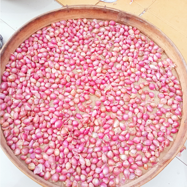 

Bawang merah probolinggo kering ukuran kecil 500 gram