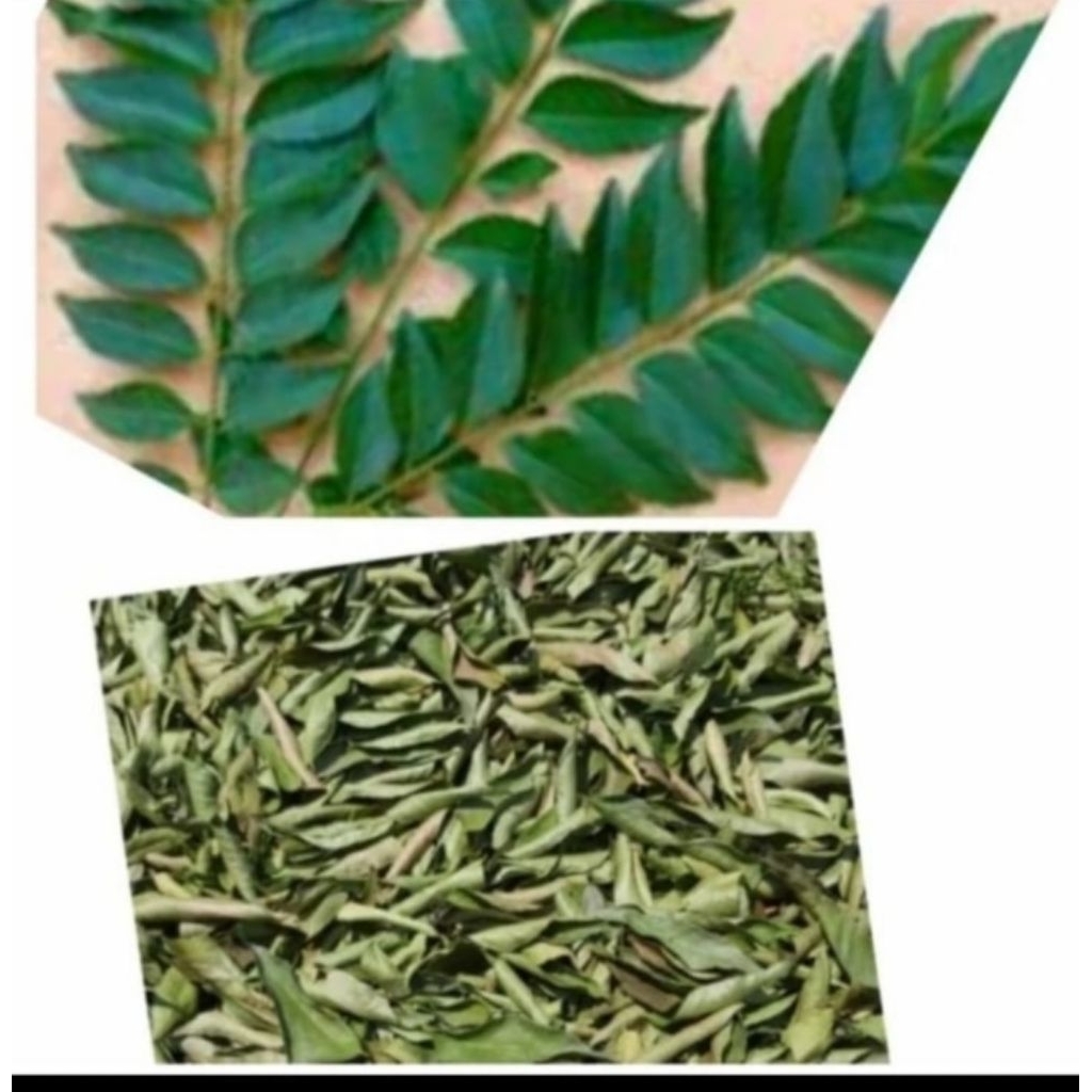 

daun kari daun koja kering 25g-100g