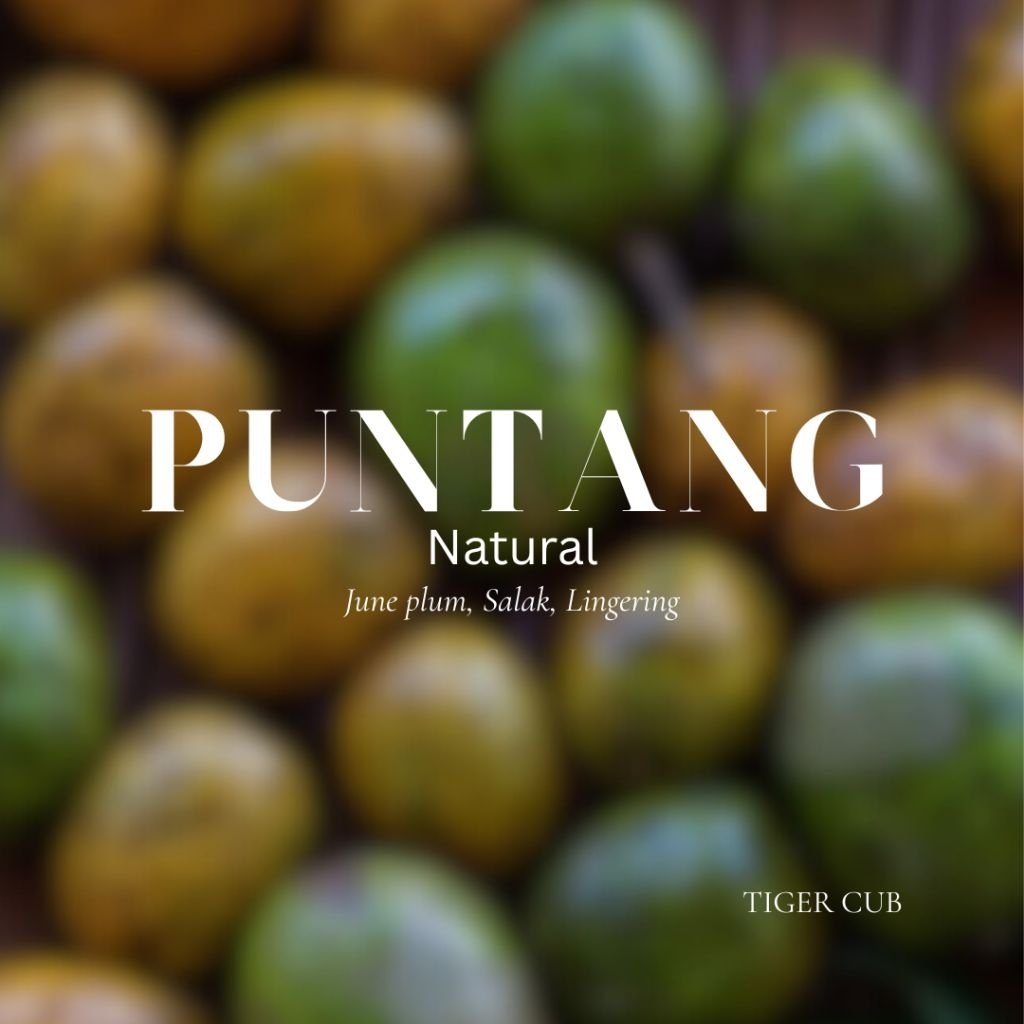 

Arabica Puntang Natural Tiger Cub