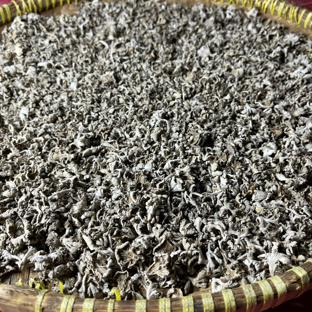 

( cod ) 1kg jamur grigit tihau gigit jamur kering jamur gigit kualitas super