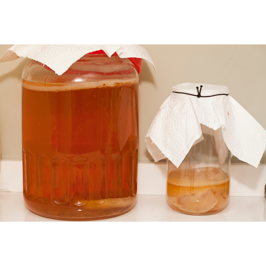 

Kombucha Original 250 Ml / Teh Fermentasi / Teh kombucha