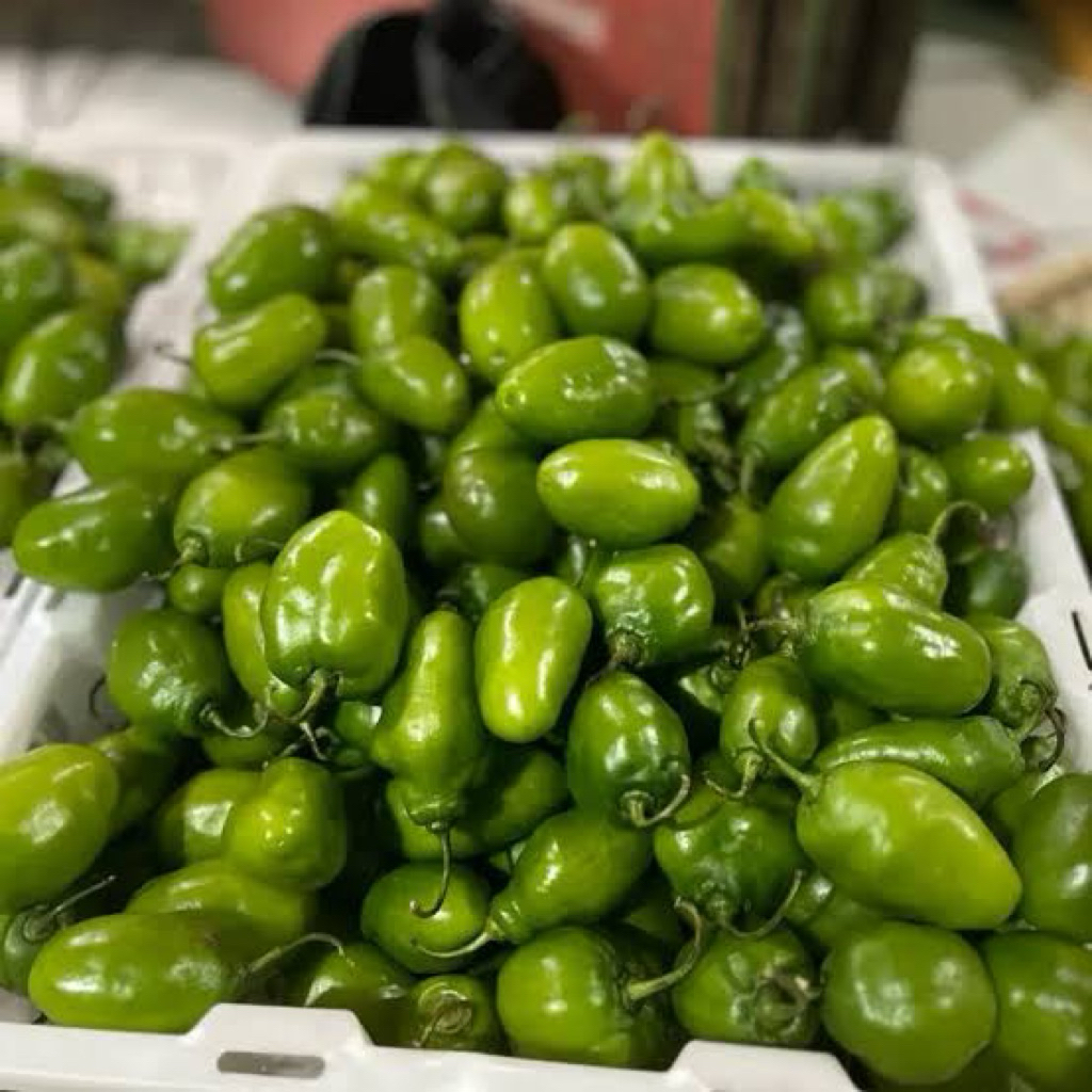 

Variasi hemat-cabe bendot 1kg fresh