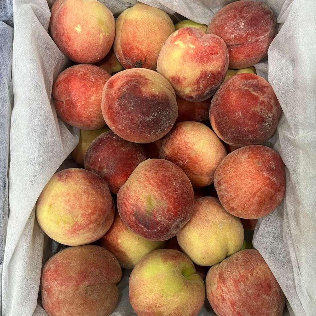 

RED PEACH | RRC Buah Persik Merah Manis Segar