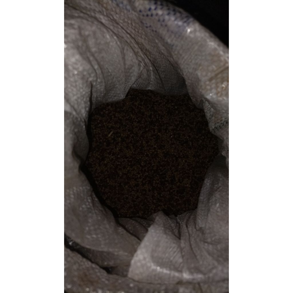

benih kacangan LCC CM 1KG