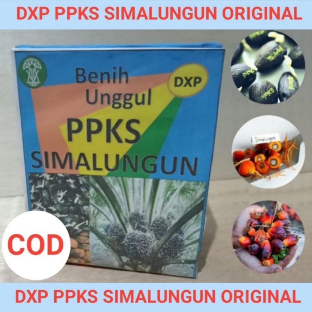 Bibit benih kecambah sawit ppks simalungun