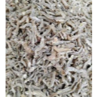 

Ikan Teri Buntilo Medan Daily Market