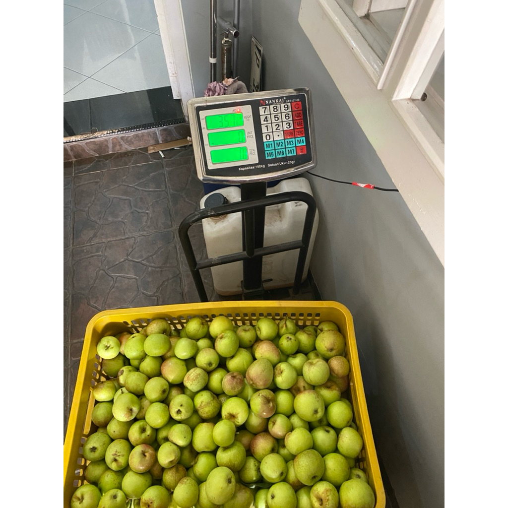 

apel manalagi a-b isi 11-15