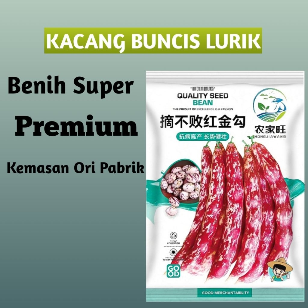 

kacang buncis merah lurik kualitas premium kemasan ori pabrik mudah tumbuh