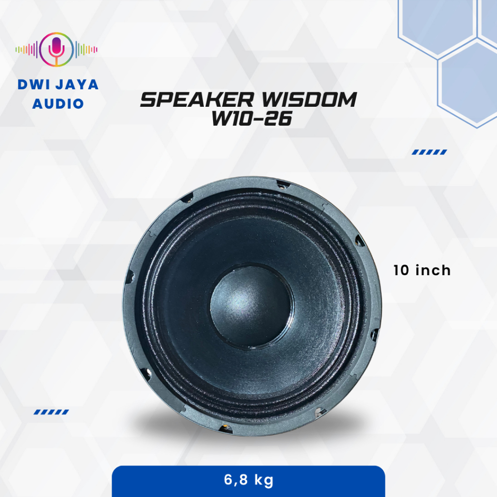 Speaker Wisdom W10-26 | Spiker 10 inch
