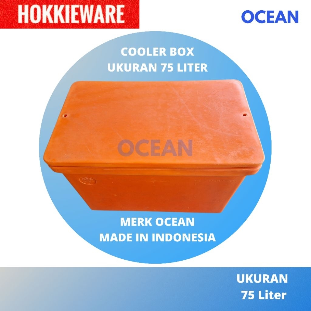Cooler Box OCEAN 75 L / Tempat Es / Fiber Ocean