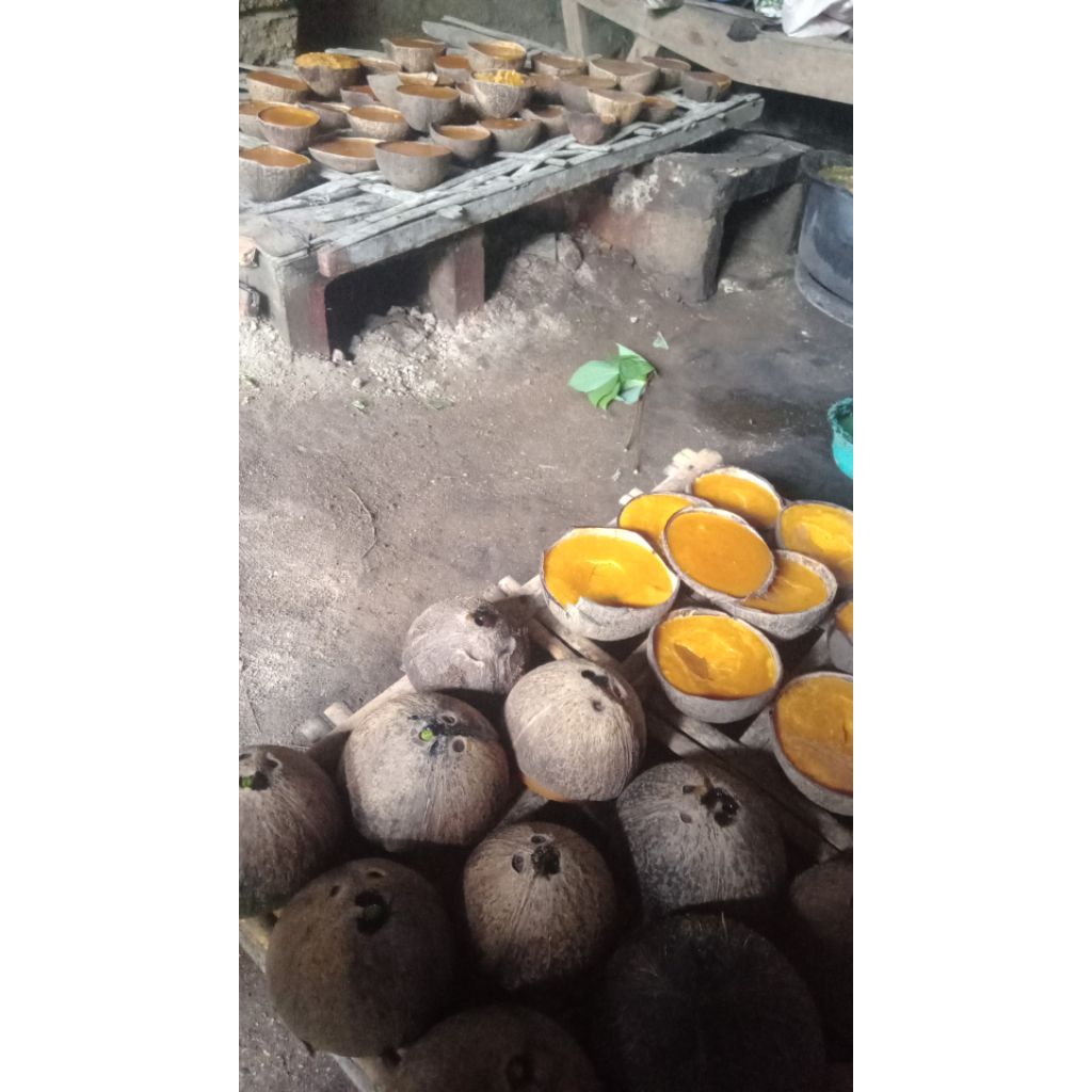 

gula kelapa asli blitar