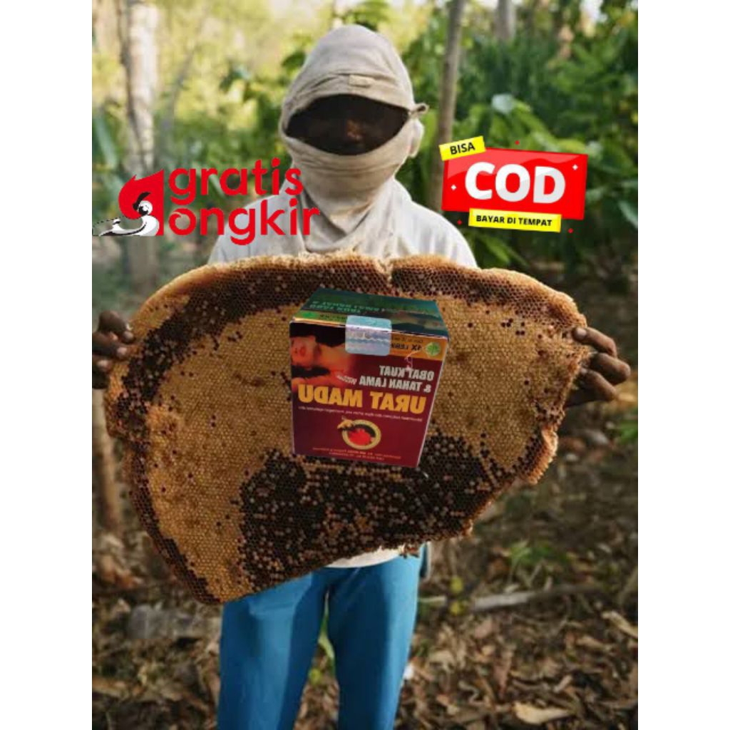 

Madu Hutan Terbaru / cap kupu kupu