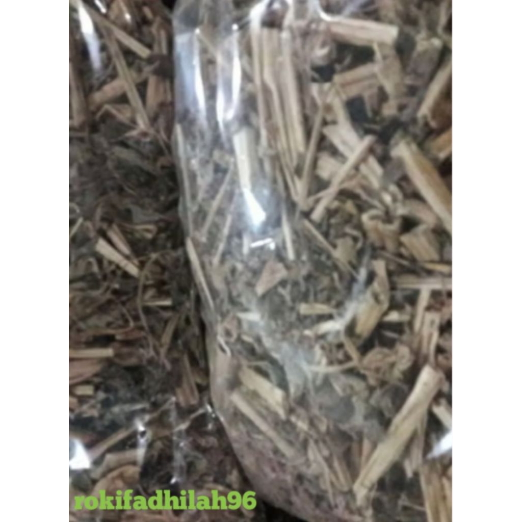 

ciplukan kering