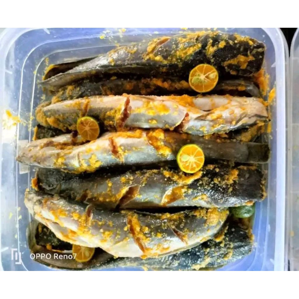 

ikan lele marinasi siap goreng. Frozen food