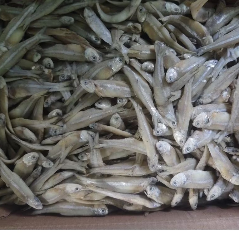 

ikan asin teri jengki JUMBO kering