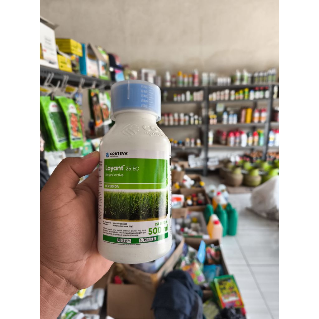 HERBISIDA SELEKTIF PADI LOYANT 25 EC MEMBASMI SEGALA JENIS RUMPUT DI PADI