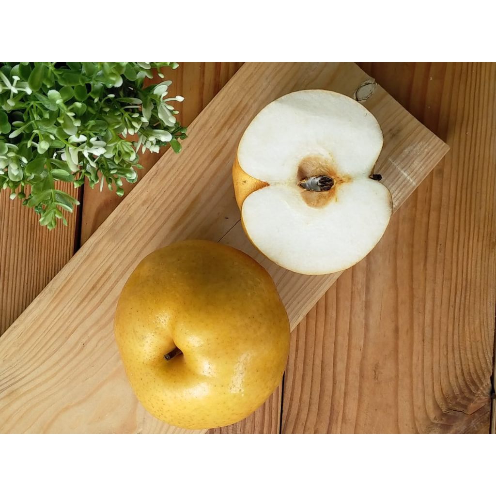 

pear coklat / pear singo