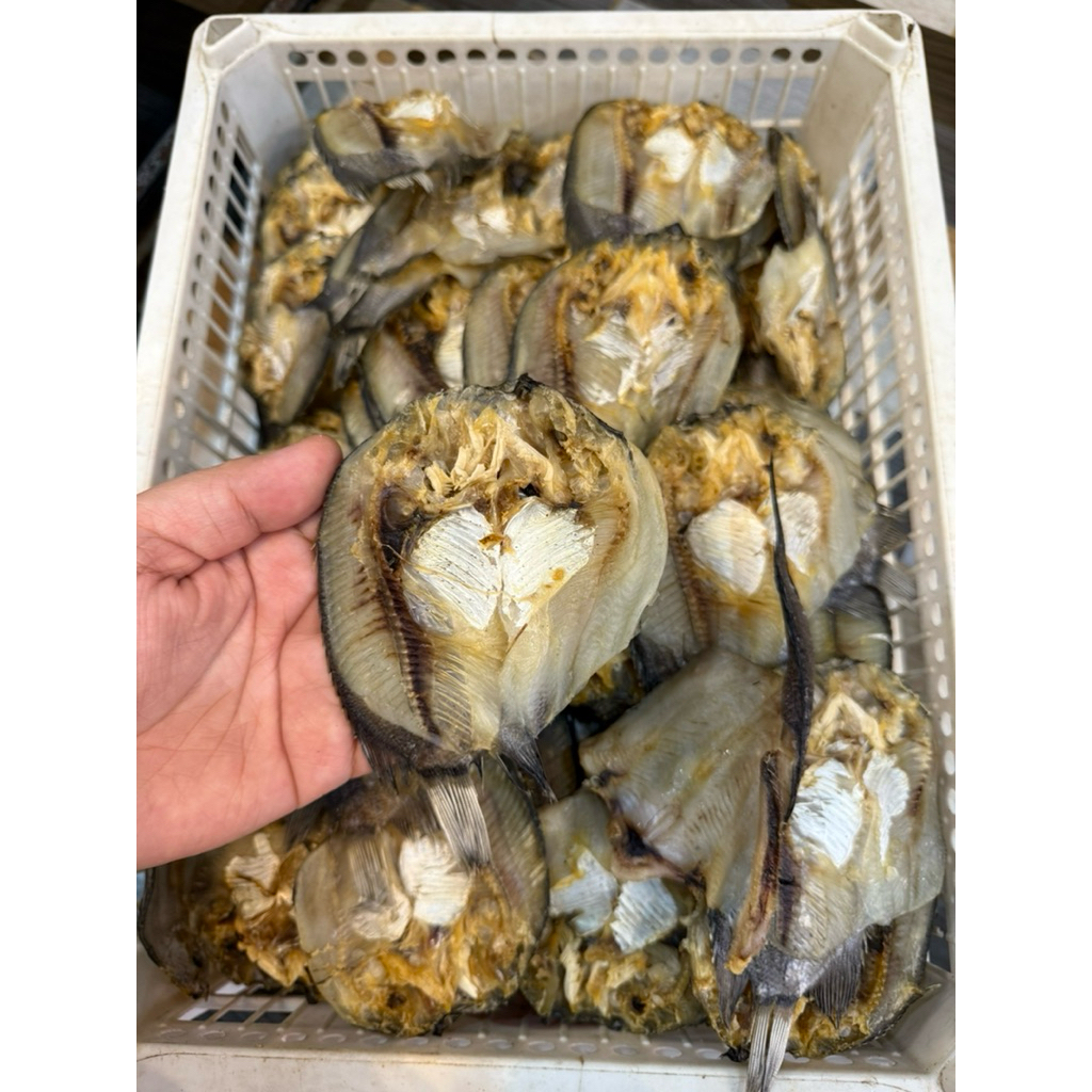 

ikan biawan
