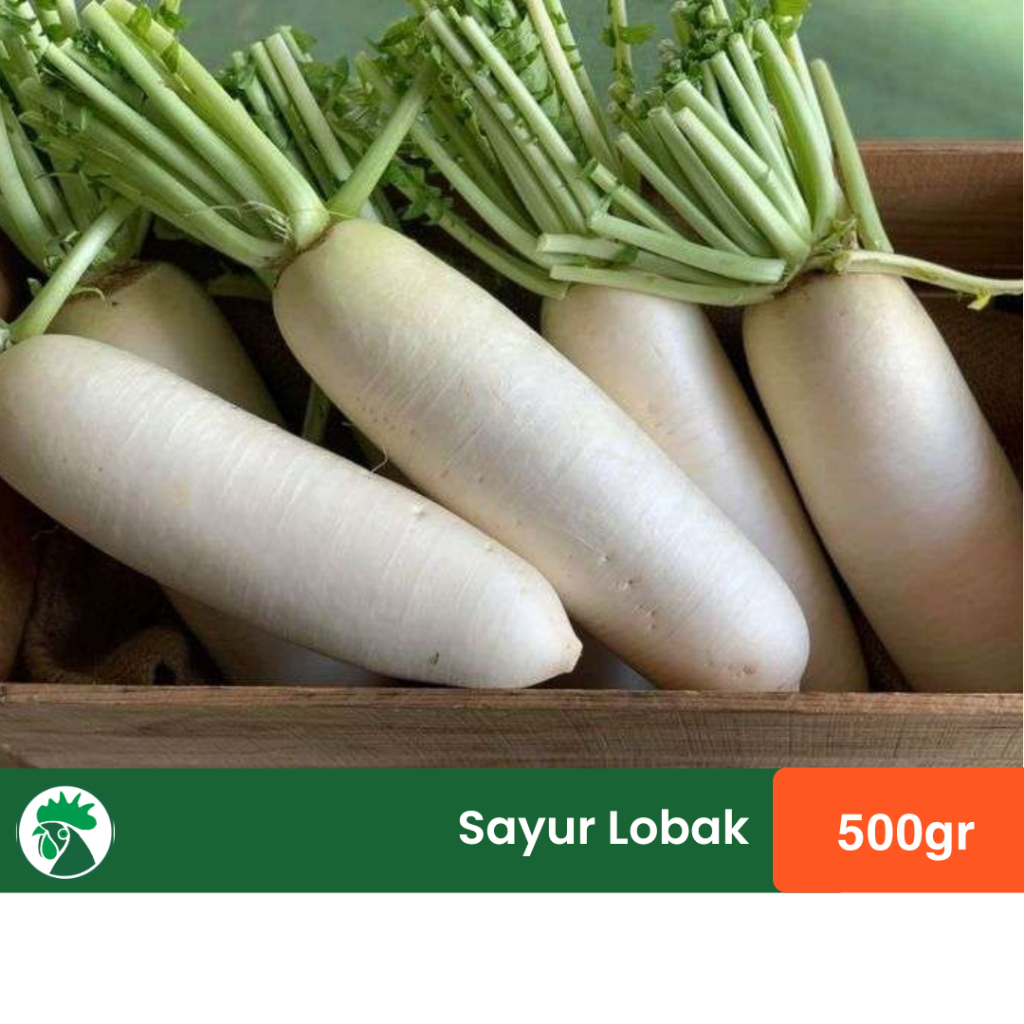 

Sayur Lobak Putih | Lobak 500gr
