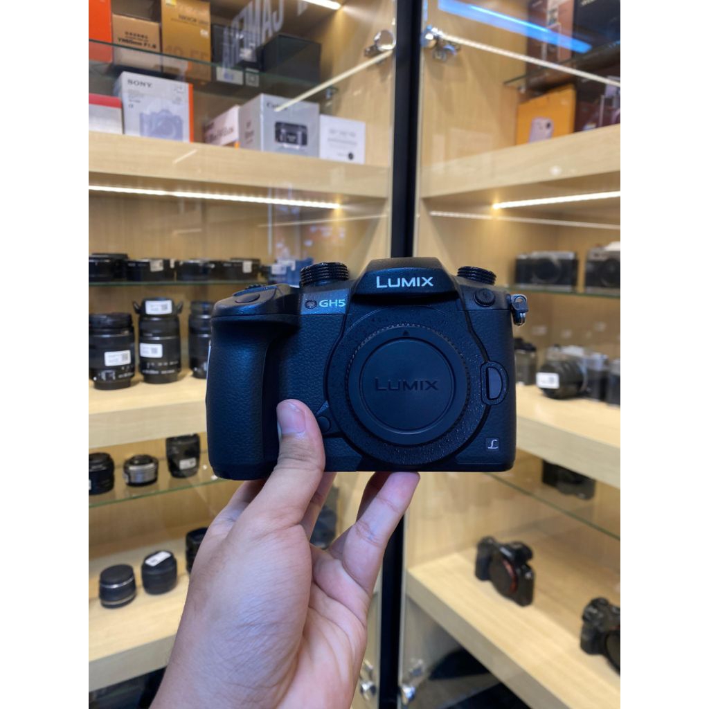 LUMIX GH5