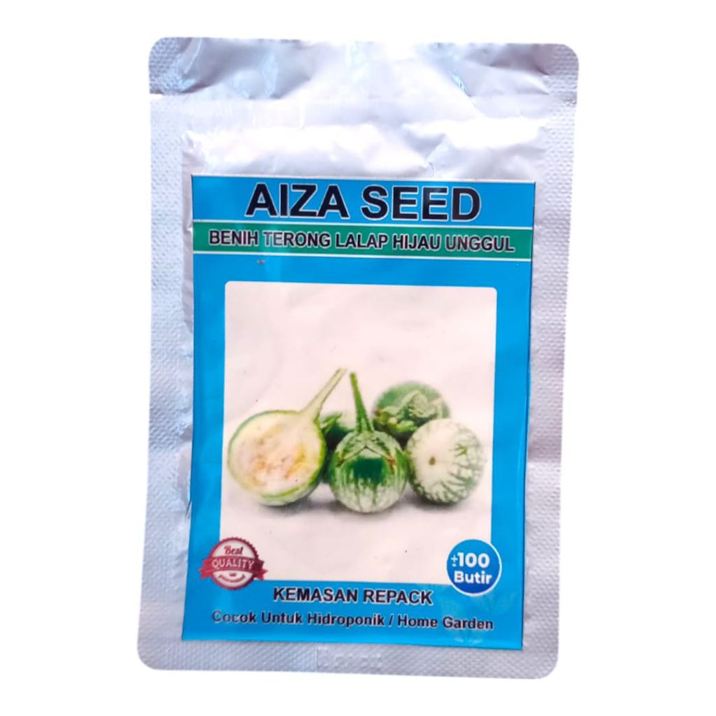 Benih Bibit Terong Lalap 100 Butir Bibit Terong Benih Lalap Hijau Bulat