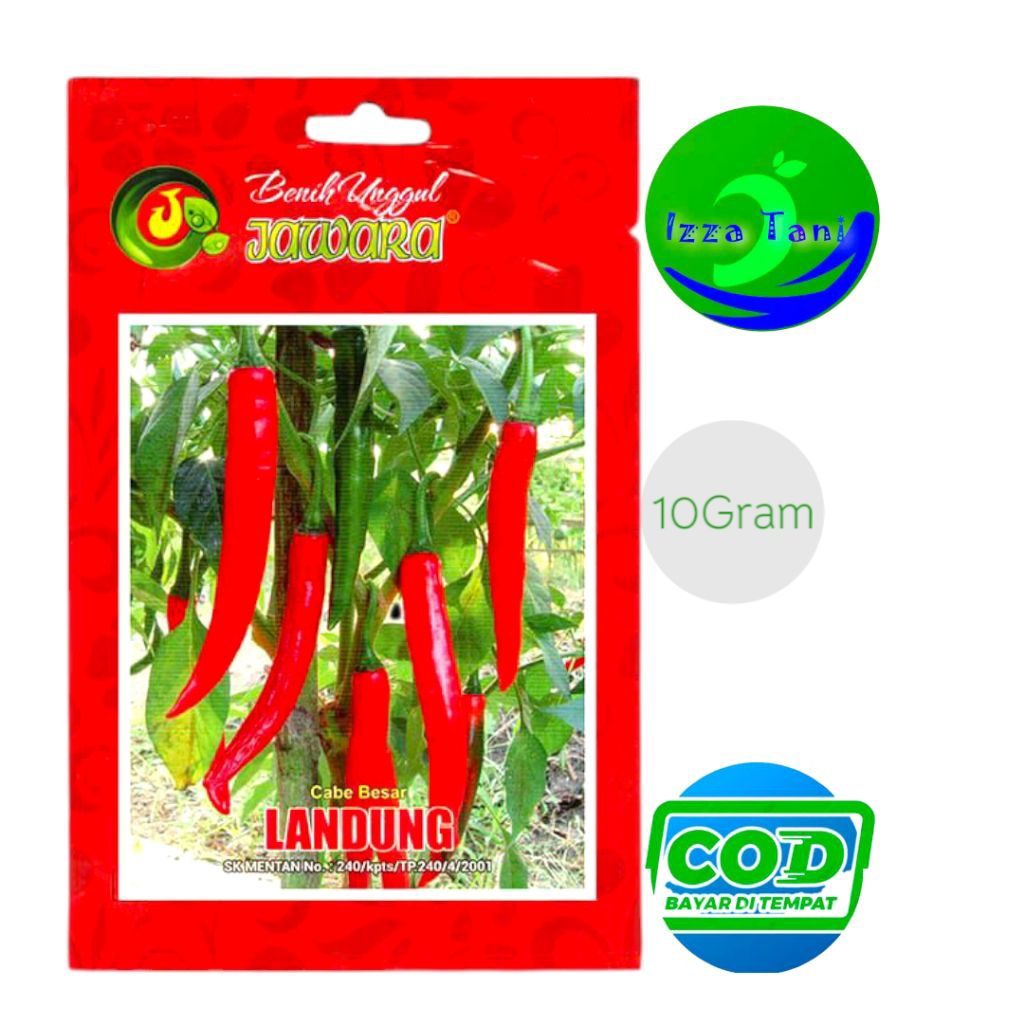 Benih Cabe Merah Besar Landung 10 Gram Bibit Cabe Besar Benih Cabe Besar