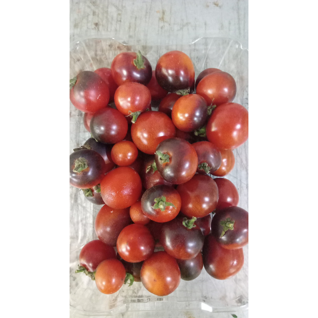 

Tomat Blue Zimmer 200gr