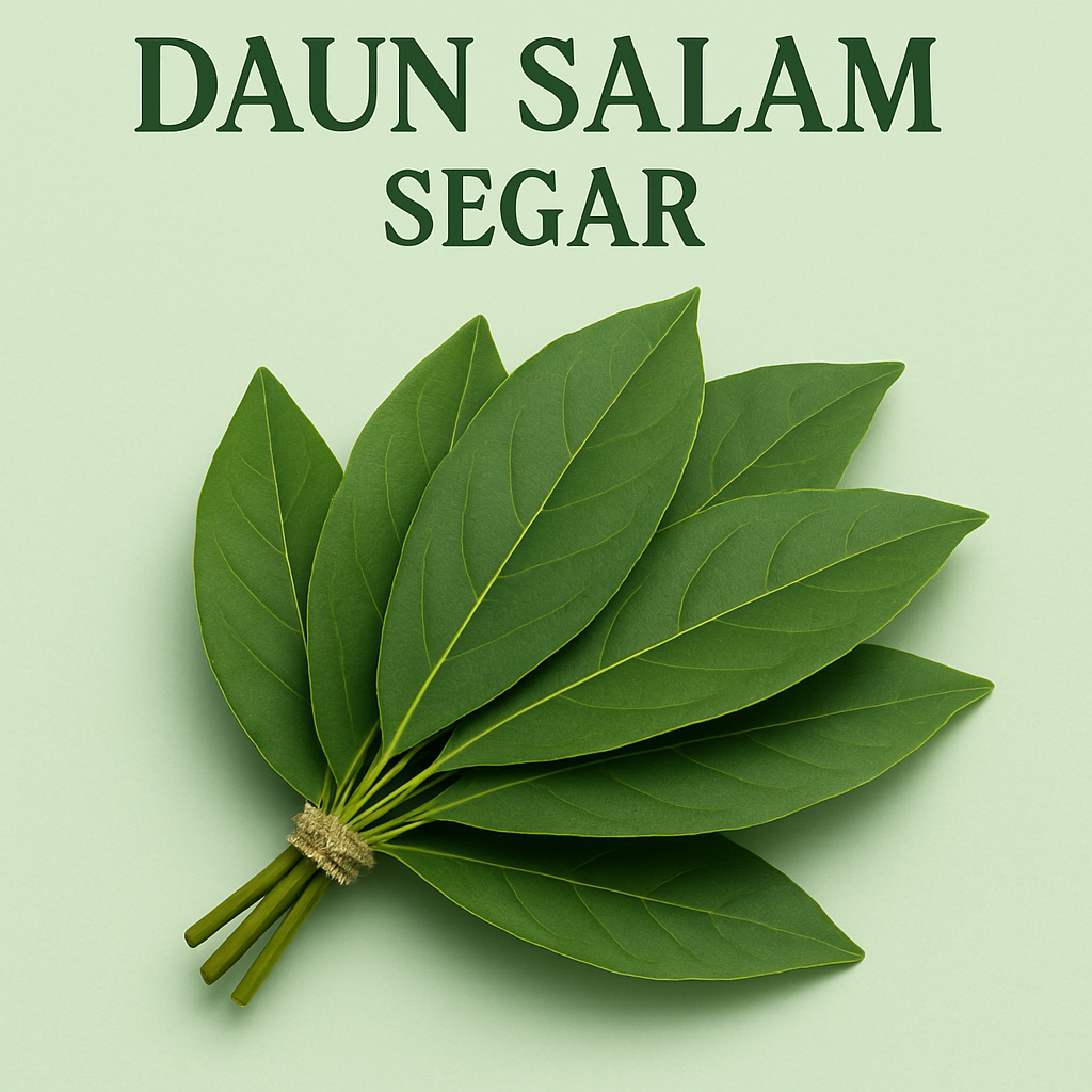 

Daun Salam Segar Panen Baru Tanpa Bahan Kimia Isi 150 pcs
