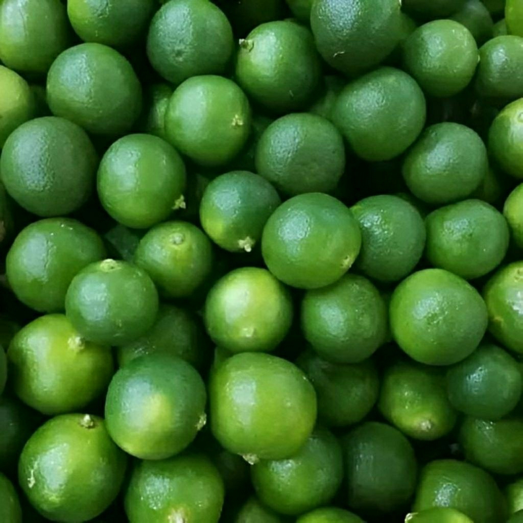 

jeruk nipis segar 500 gr