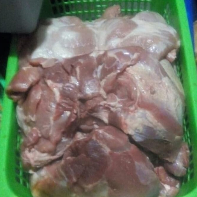 

DAGING PAHA BABI / PORK LEG (Tanpa kulit / Skin Off) – 1 Kg