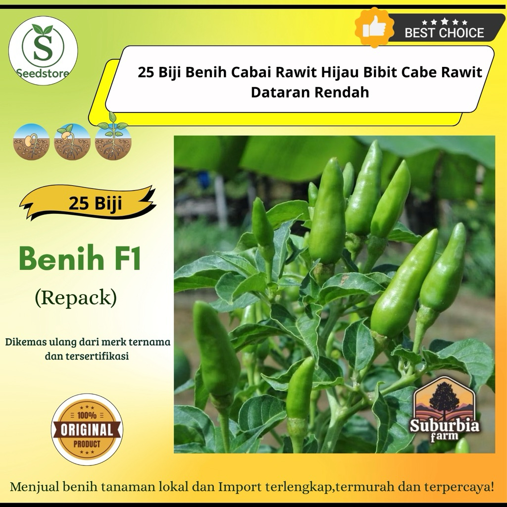 25 Biji Benih Cabai Rawit Hijau Bibit Cabe Rawit