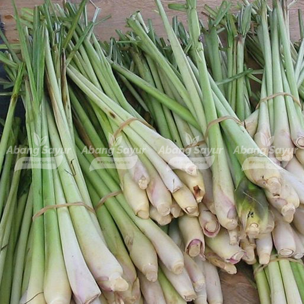 

Daun Serai / Sereh Segar ±160gr – Sayur Segar Bandung (Fresh Harian) - Aroma Masaka