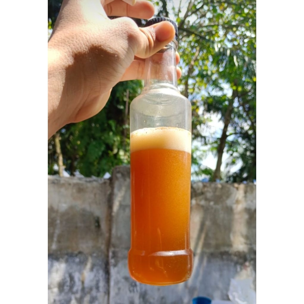 

madu hutan liar