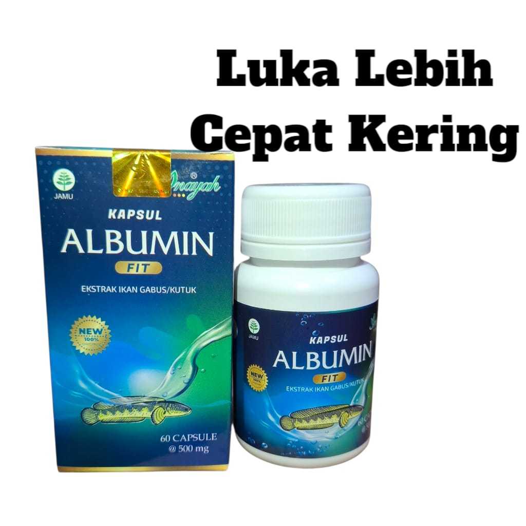 Kapsul Albumin Fit Original Mempercepat penyembuhan luka