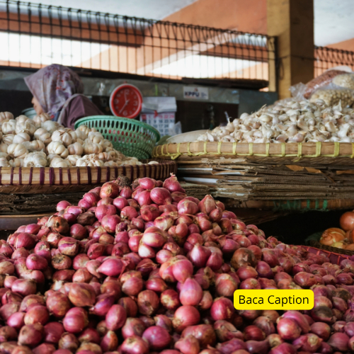 

Bawang Merah Lokal – Segar, Kualitas Pilihan