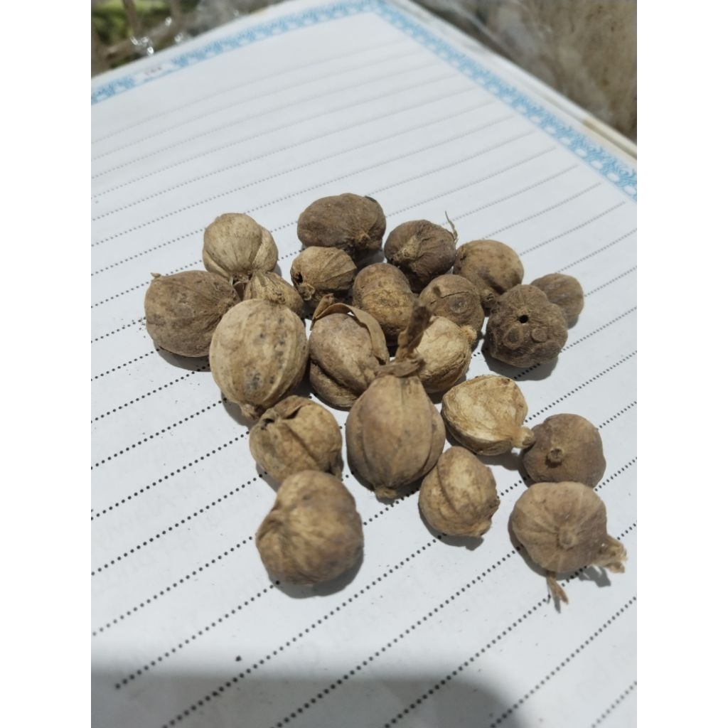 

1 kg kapulaga kering alami tanpa zat pemutih.