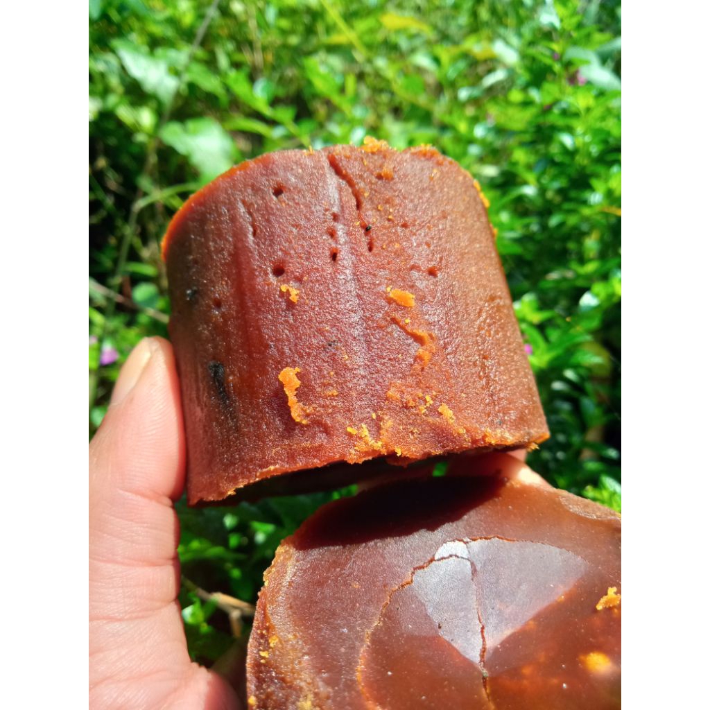 

GULA AREN ASLI 100% TANPA CAMPURAN 500 GRAM