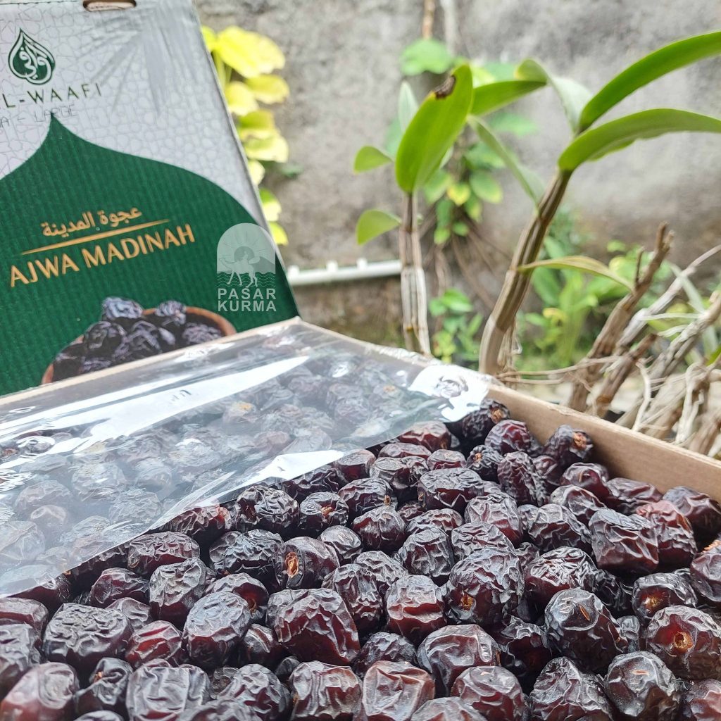 

Kurma Nabi / Ajwa Premium 1kg al madinah