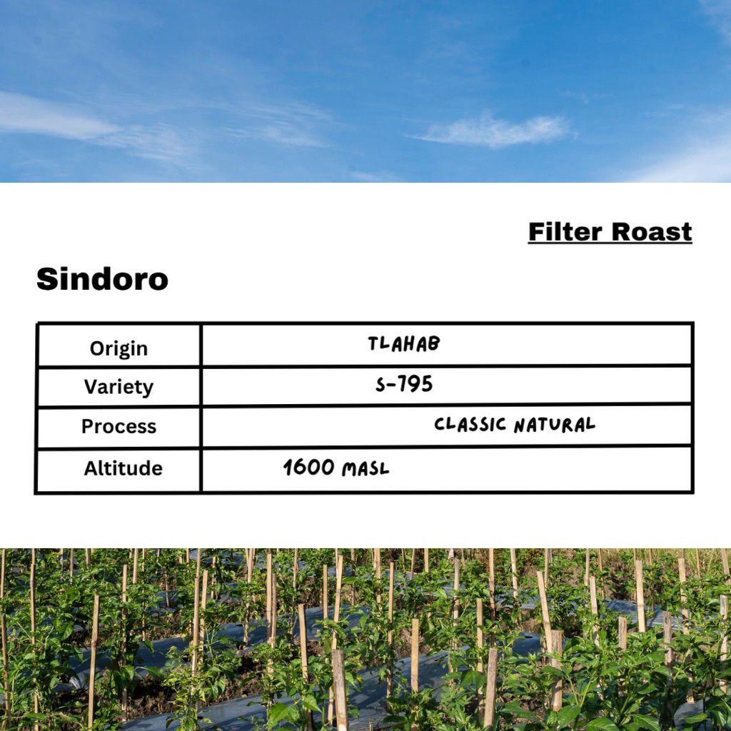 

Sindoro Classic Natural Filter Coffee Arabika