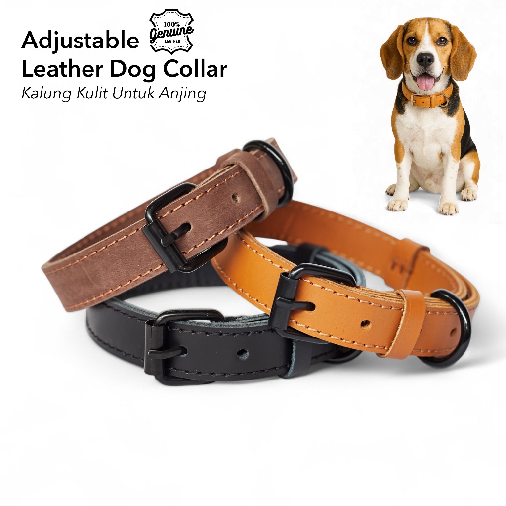 Kalung Anjing Nama - Leather Dog Collar