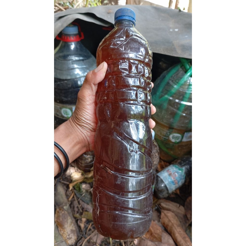 POC URINE KELINCI MURNI sudah di FERMENTASI